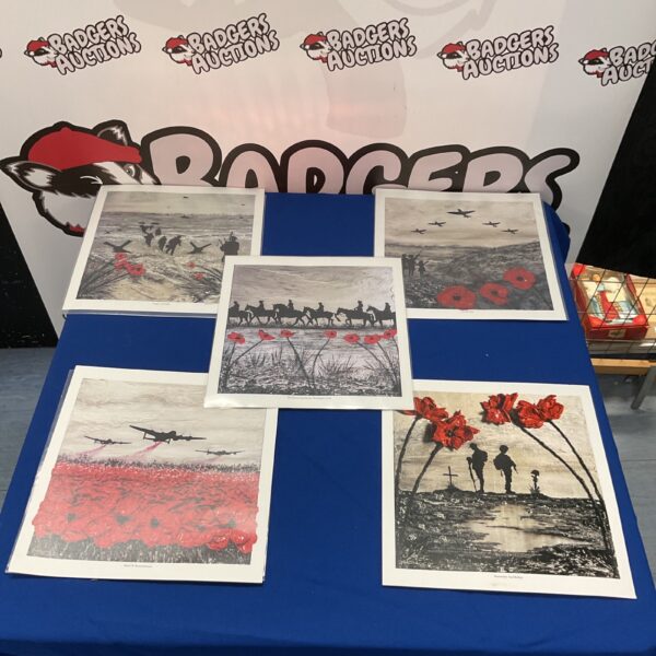 Vibrant Jacqueline Hurley war poppy collection artwork for remembrance.