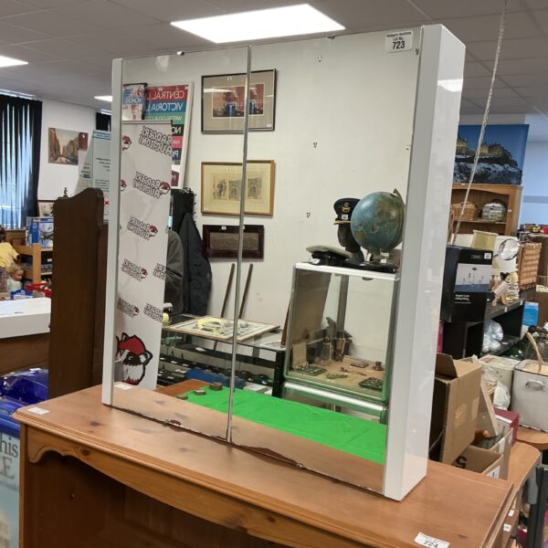 Large vintage mirrored bathroom cabinet with two doors.