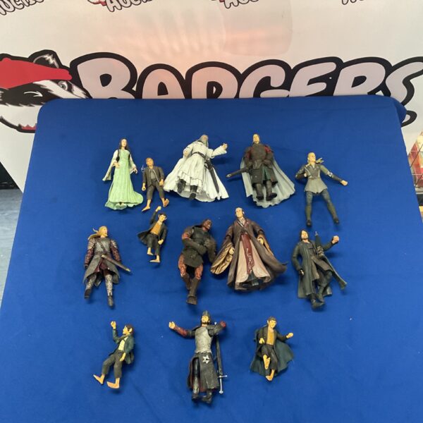 Lot of Lord of the Rings character figures for collectors.
