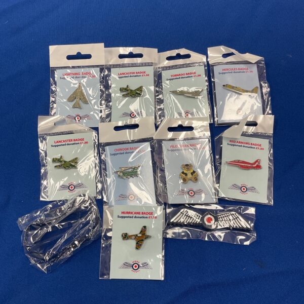 Collection of Royal Air Force pin badges for collectors.