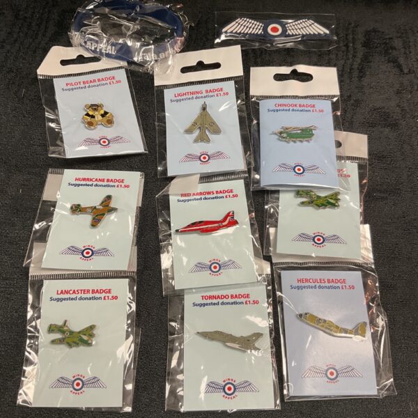 Lot of eleven Royal Air Force pin badges for collectors.