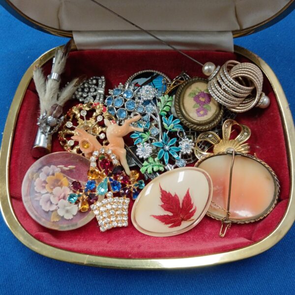 Vintage brooch collection and hat pin on velvet display.