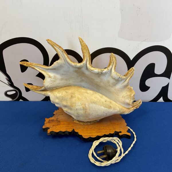 Vintage 1940s conch shell table lamp with natural patina.