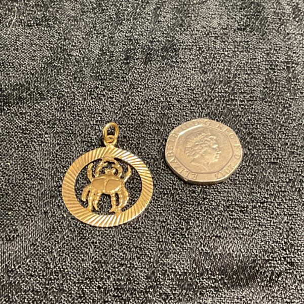 Detailed 9ct gold Cancer zodiac pendant with crab design.