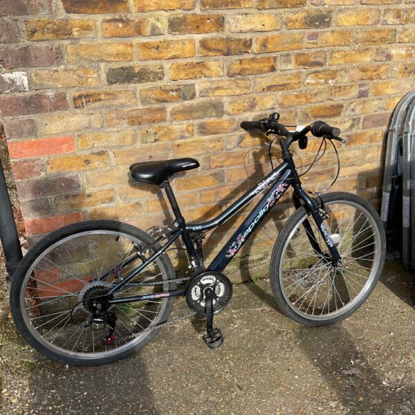 Blue Apollo Kinx girls mountain bike, ideal for young cyclists.