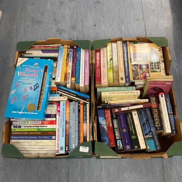 Vintage book lot with penny whistle instruction manual.
