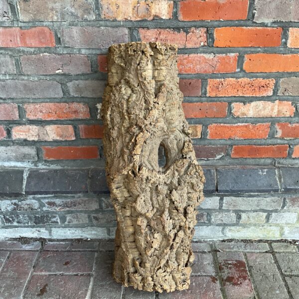 Natural cork bark wall art with rustic texture.