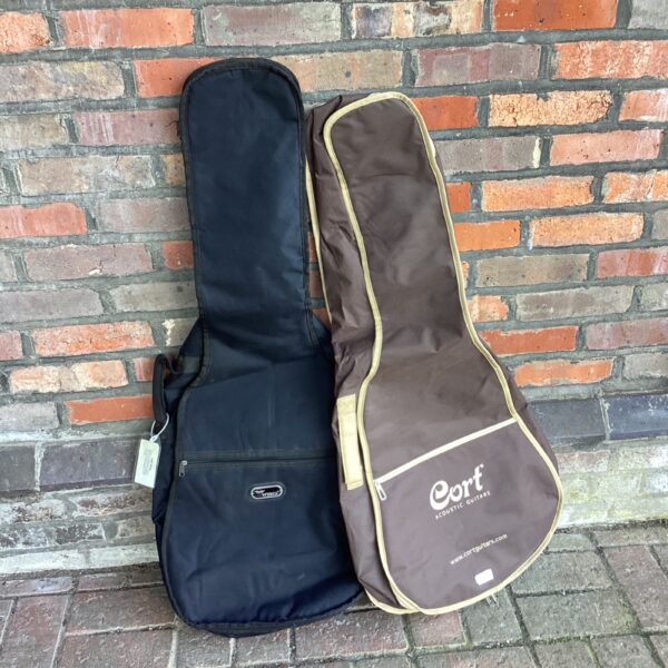 Two acoustic guitar cases, one Cort and one Wings, for instrument protection.