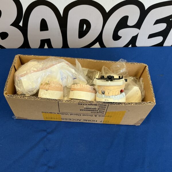 Vintage dental teeth molds in a cardboard box.