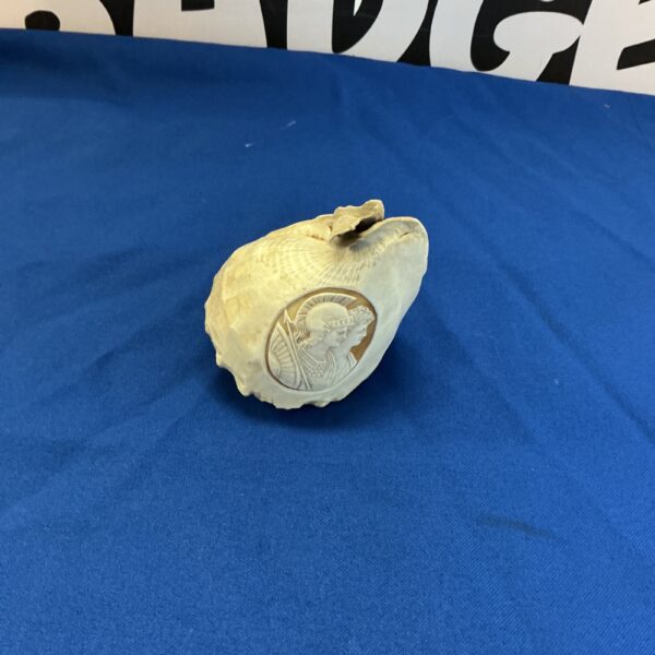 Detailed engraved seashell featuring a Greek god carving.