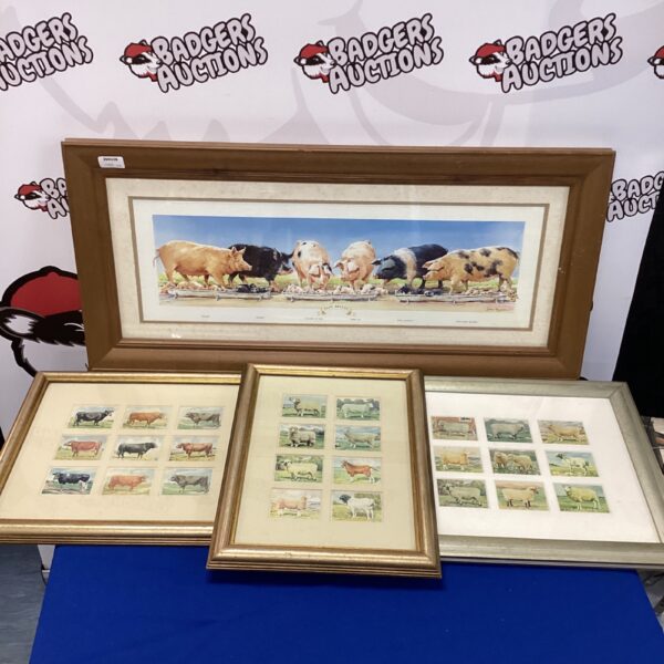 Framed collection of vintage farm animal prints and a John Hayson pig print.