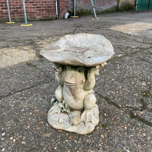 Whimsical fibreglass frog and toadstool garden ornament for outdoor display.