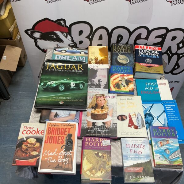 A lot of well-read Harry Potter books and other children's literature.