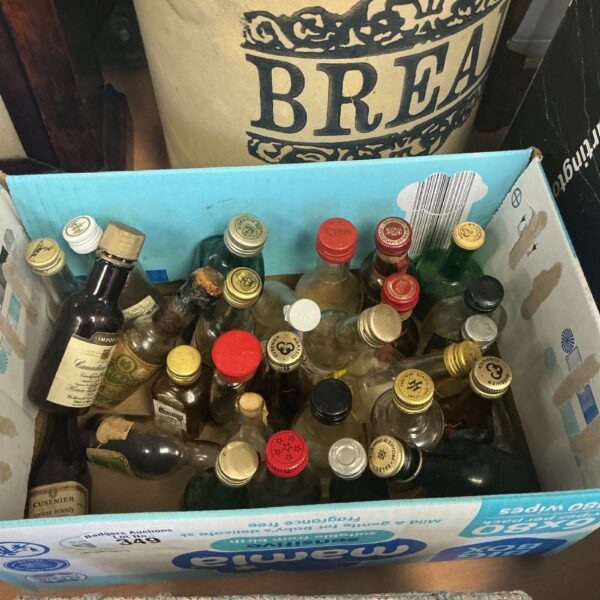 Collection of vintage miniature liquor bottles for collectors.
