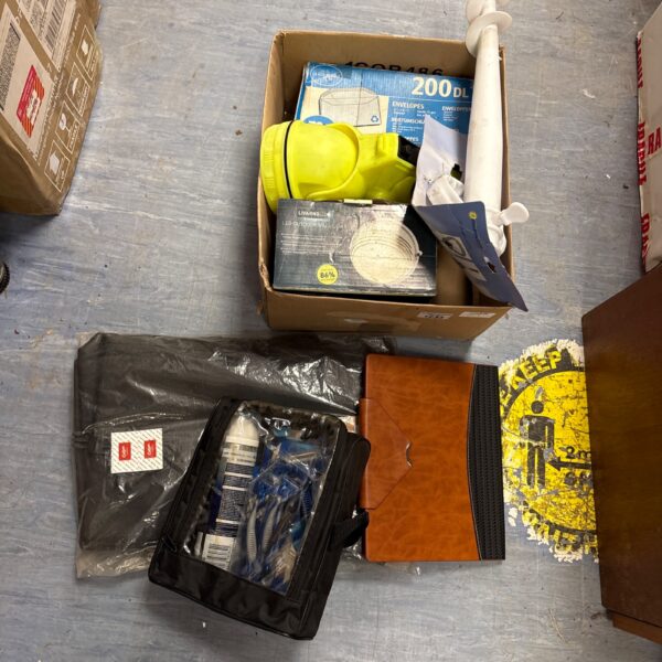 Mixed lot of garden tools and outdoor light in a cardboard box.