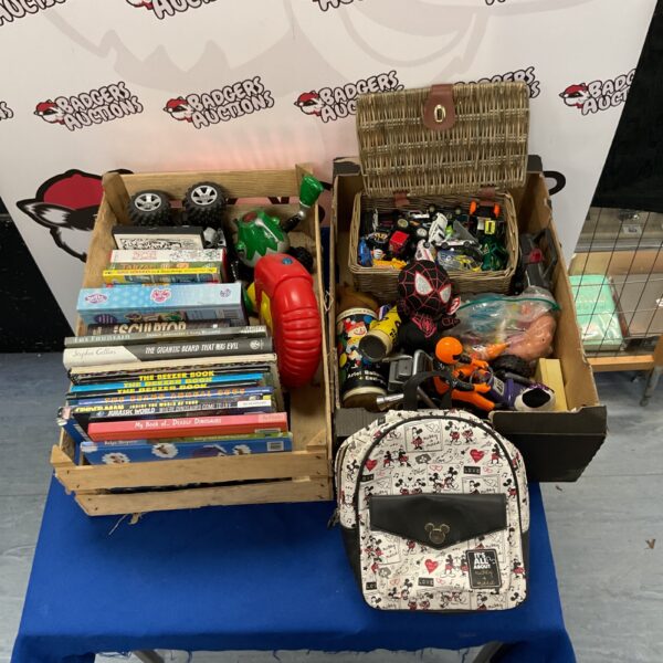 Mixed toy and book lot with diecast cars and Disney items.