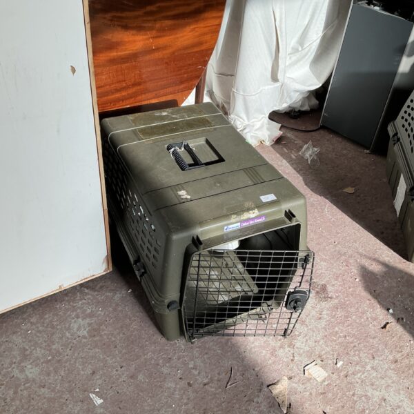 Front view of a used Permate pet carrier.
