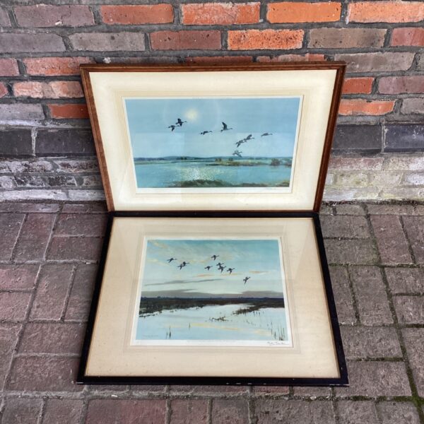 Pair of signed Peter Scott bird prints depicting birds in flight.