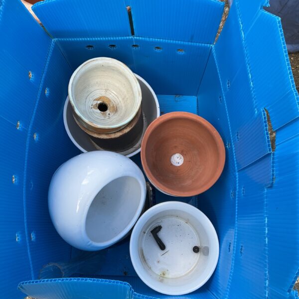 Assorted terracotta and ceramic plant pots in a blue box.