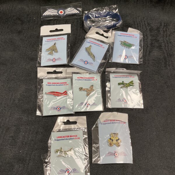 Close-up of a lot of RAF pin badges and armbands.