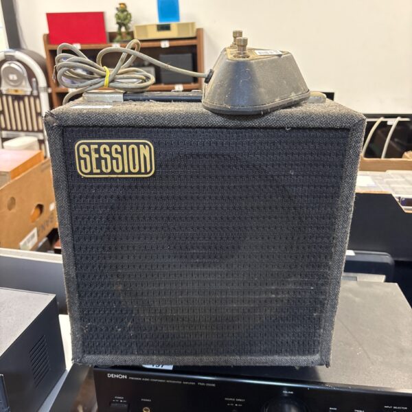 Vintage Session RC-15 guitar amplifier with distinctive cabinet.
