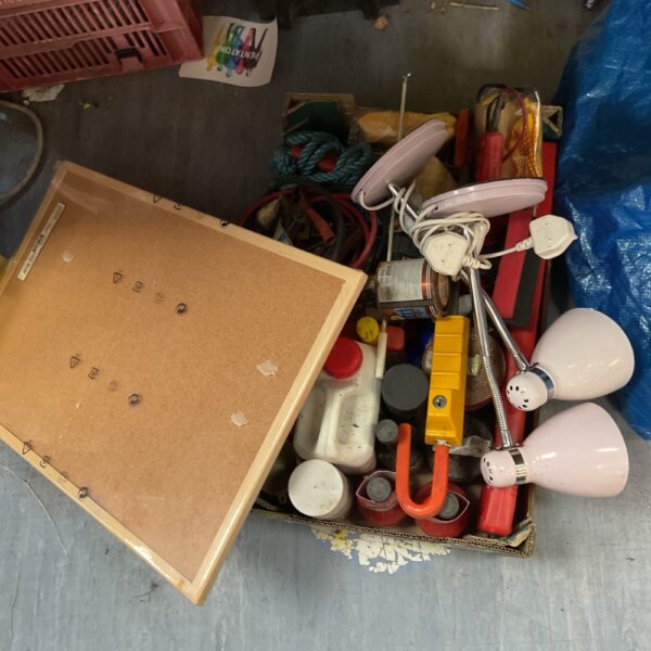 Mixed shed clearance lot with lamps, chemicals, and garden tools.