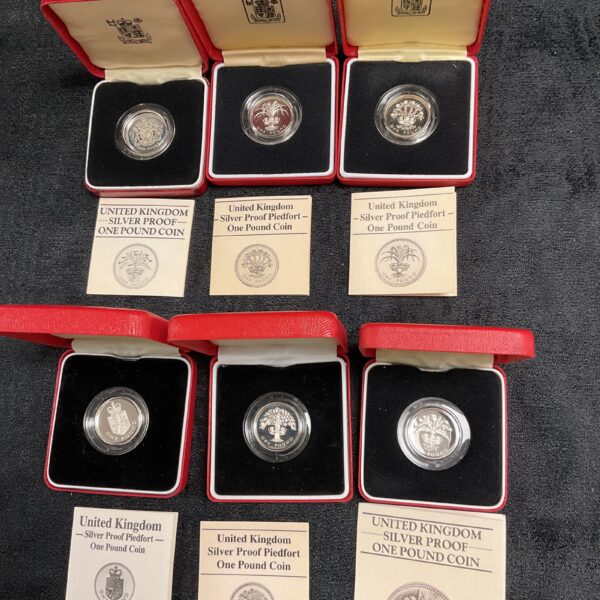 Silver Proof £1 coin lot in presentation cases.