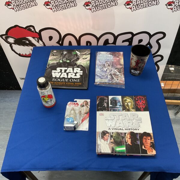 Overview of a Star Wars collectibles lot with books and figures.
