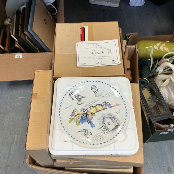 Vintage Wedgwood bird plate with detailed hand-painted design.