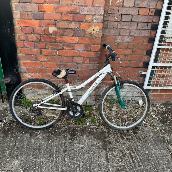 White Apollo Vivid mountain bike for restoration project.