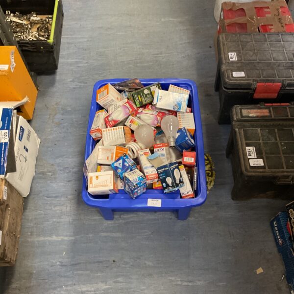 Assorted light bulbs in a blue plastic container.