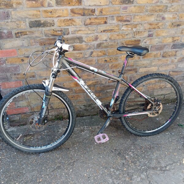 Young ladies Carrera Vengeance mountain bike in good condition.