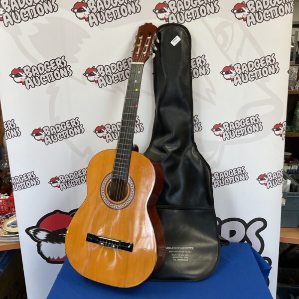 Vintage Don Juan Alvarez acoustic guitar with hard case.