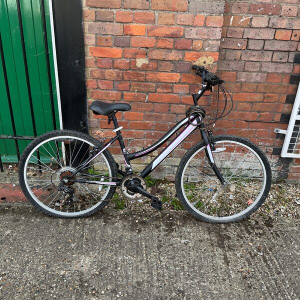 Pink and black Fantasia Salcano mountain bike for sale.