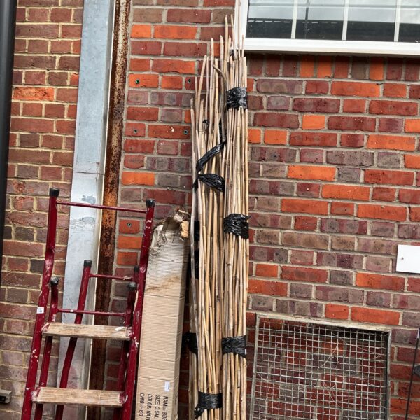 Stack of garden canes for plant support in a garden setting.