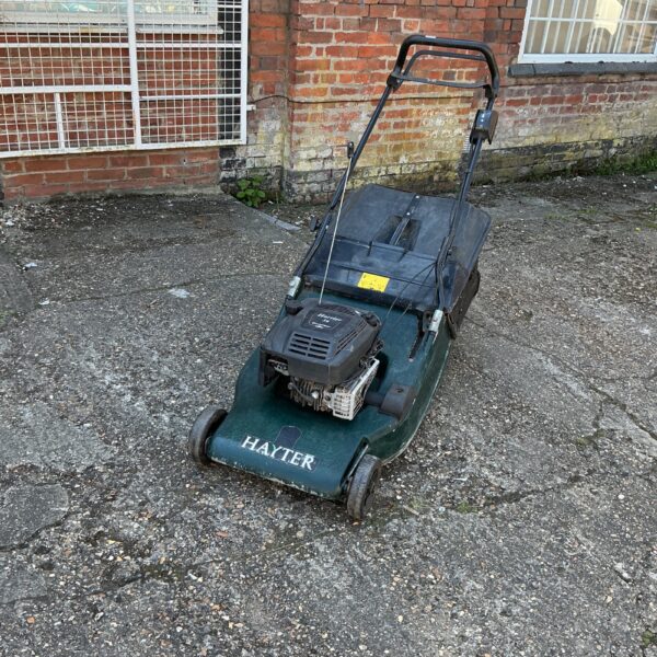 Hayter Harrier 56 petrol lawnmower in garden setting.