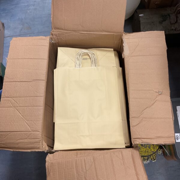 Box filled with cream kraft paper bags for retail or gifting.