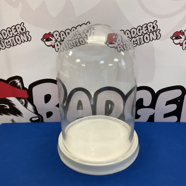 Large Victorian glass display dome on white base.