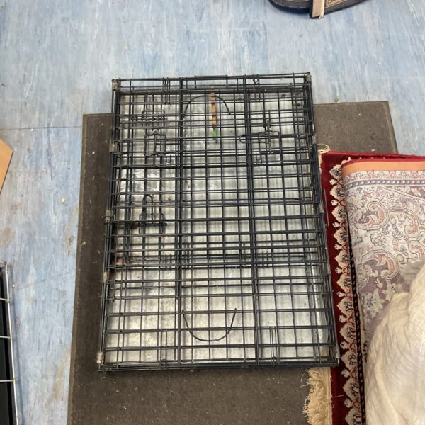 Foldable metal dog crate for pet transport and containment.