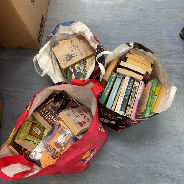 Assorted paperback books including Francis Brody titles in a colourful bag.