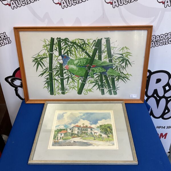 Vibrant parakeet print with tropical foliage, framed vintage artwork.
