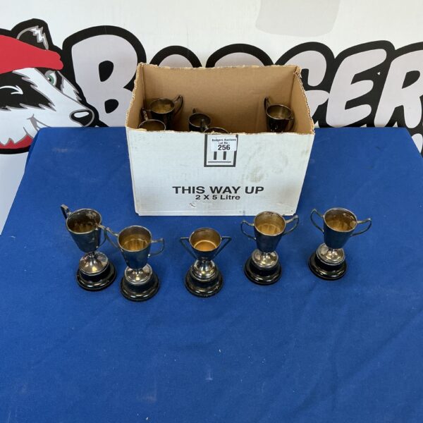 Collection of small silverplate trophies on a patterned background.