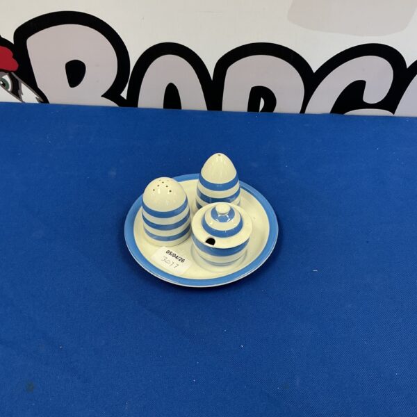 Vintage TG Green Cornishware cruet set in blue and white.