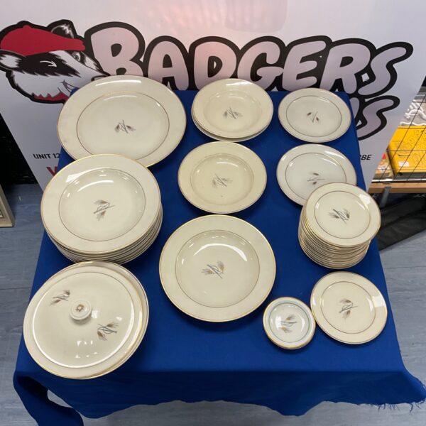 Vintage Thomas Ivory Germany dinner service plates on display.
