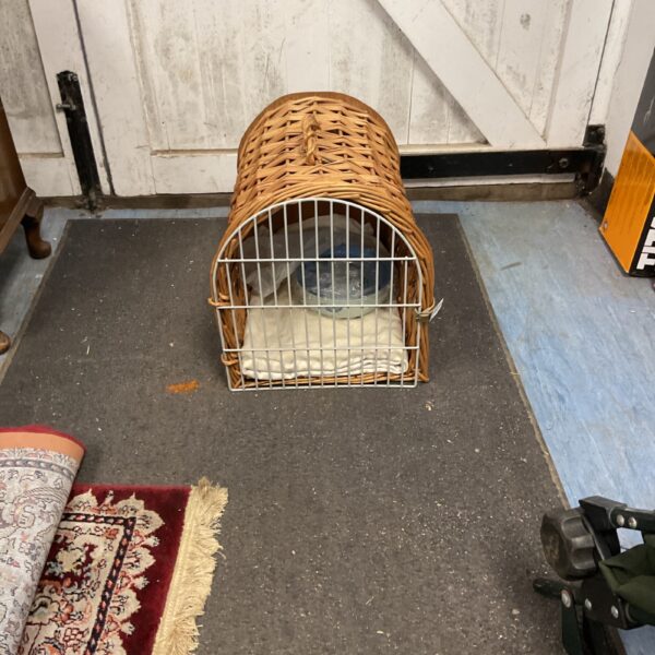 Vintage wicker pet carrier with a latching door.