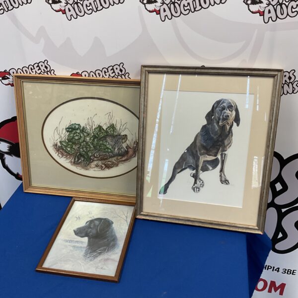 Signed watercolour and prints featuring a black lab and hedgehog.