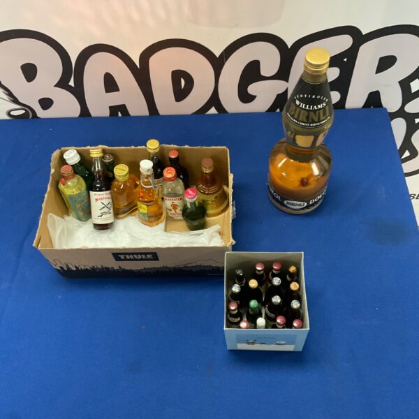 Williams Birnli Südtirol alcohol lot with mini bottles.