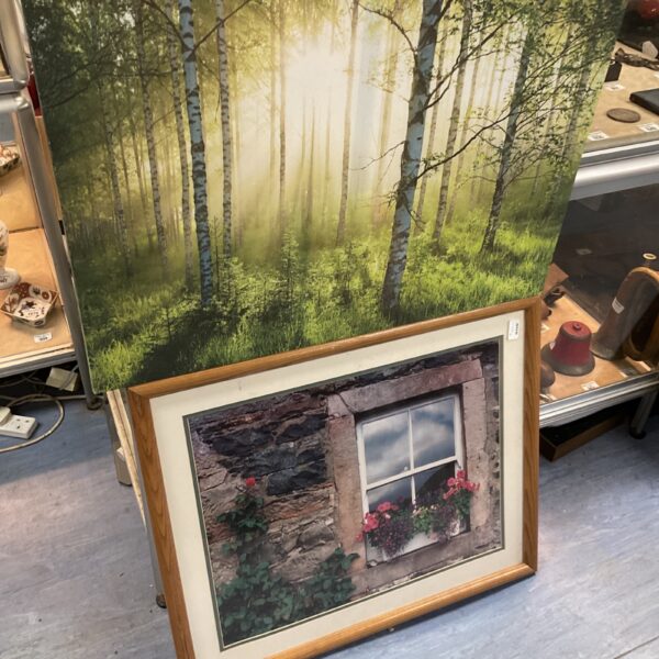 Vibrant woodland canvas print in a simple frame.