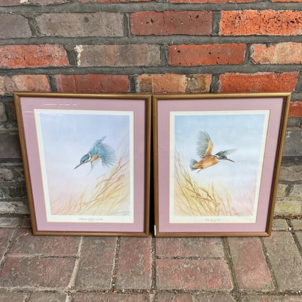 Pair of signed Anthony Green kingfisher prints, vibrant wildlife art.