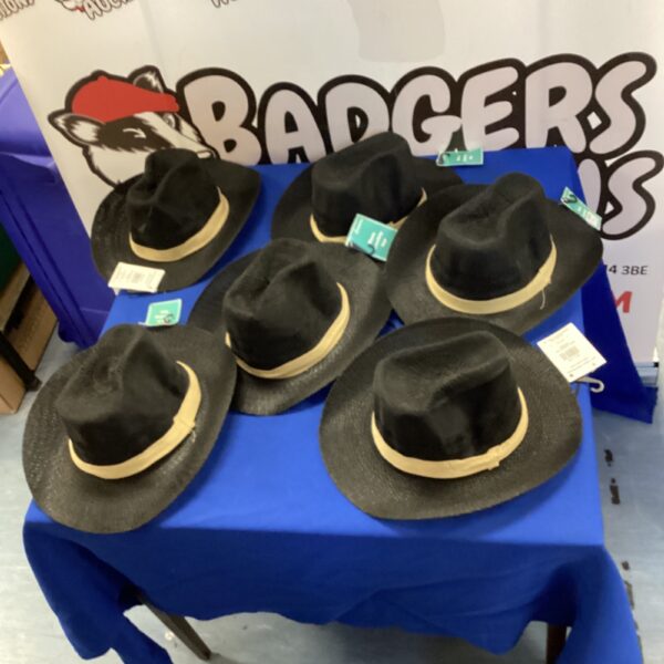 Six new cowboy hats displayed on a blue background.